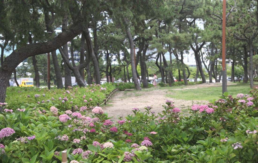 송림공원
